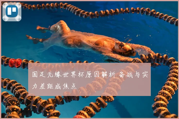 国足无缘世界杯原因解析 备战与实力差距成焦点