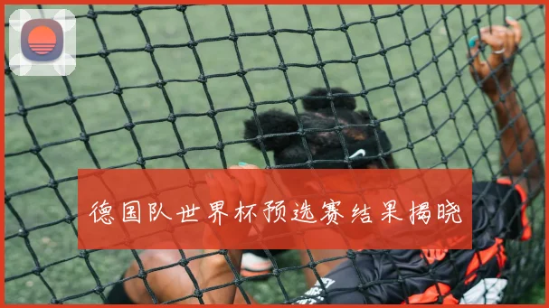 德国队世界杯预选赛结果揭晓