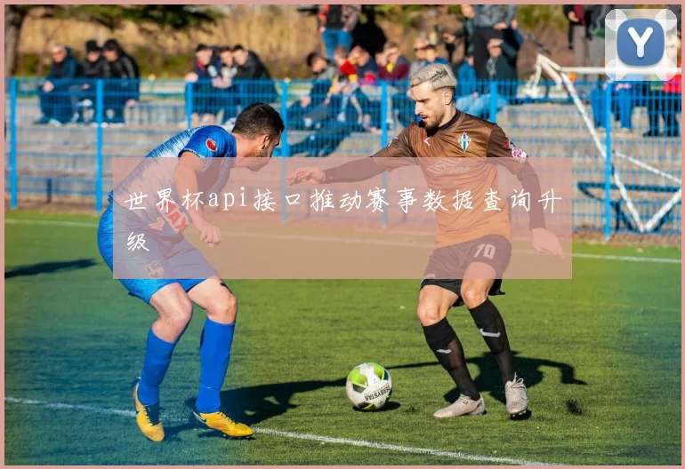 世界杯api接口推动赛事数据查询升级