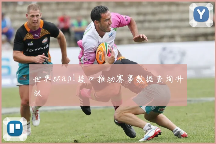 世界杯api接口推动赛事数据查询升级