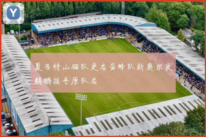 夏洛特山猫队更名黄蜂队新奥尔良鹈鹕接手原队名