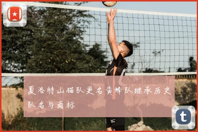 夏洛特山猫队更名黄蜂队继承历史队名与商标