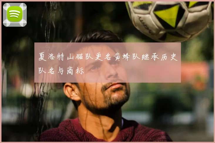 夏洛特山猫队更名黄蜂队继承历史队名与商标